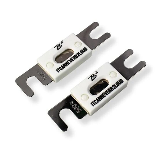 Ceramic Fuse Pair ANL-500A