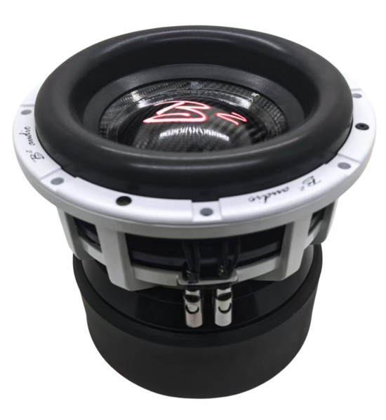RAMPAGE Series 10" Dual 2