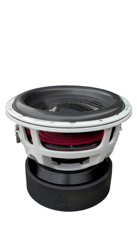 RAMPAGE Series 15" Dual 1